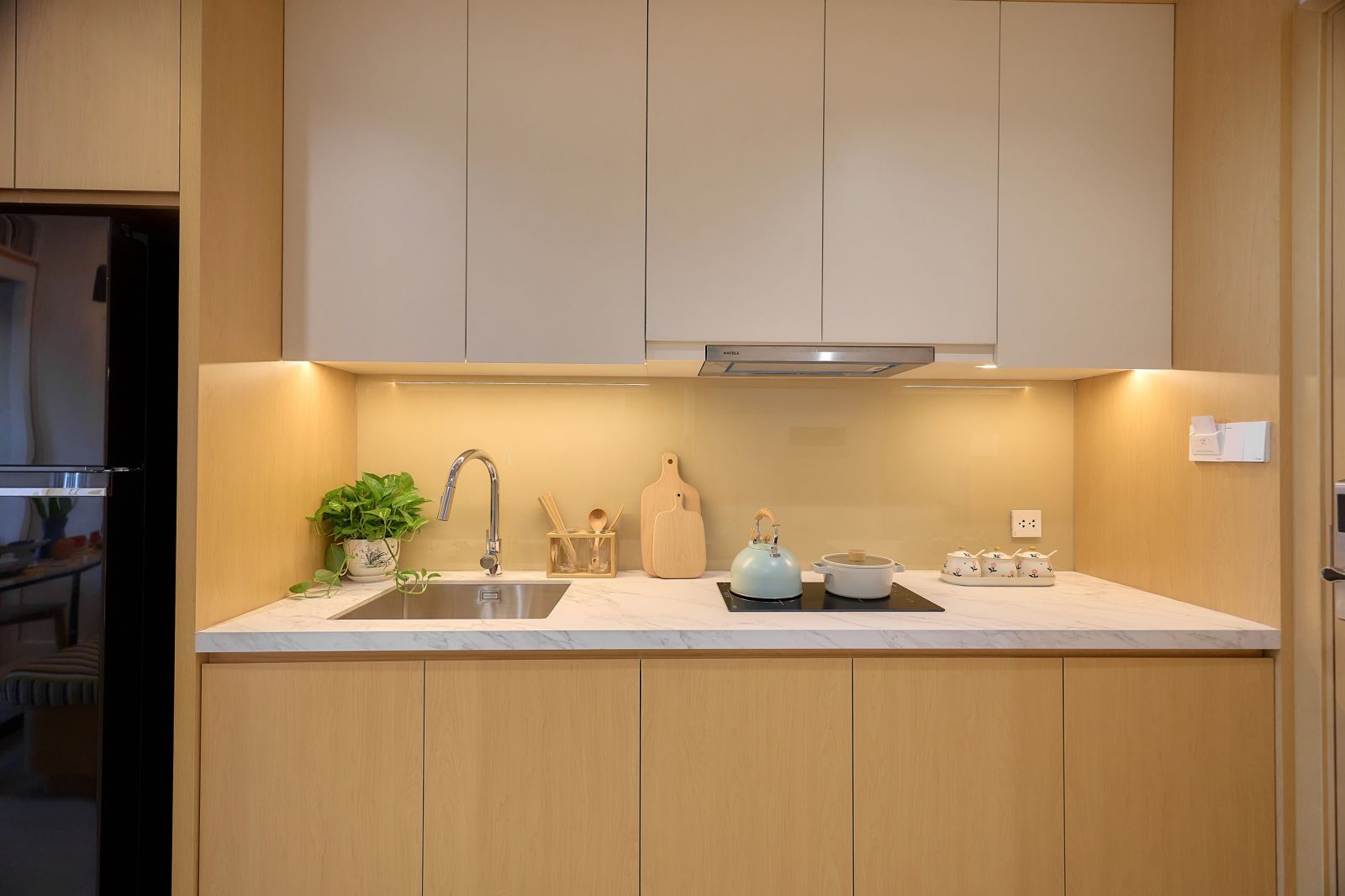 căn hộ mẫu chung cư park residence